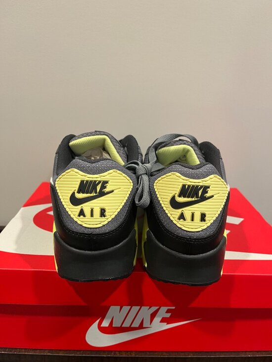 Nike Air Max 90 Size 10.5 NIB Grey/Photon Dust